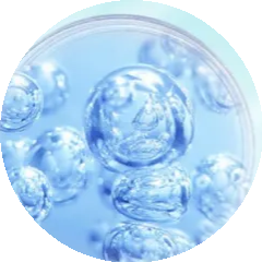 Collagen